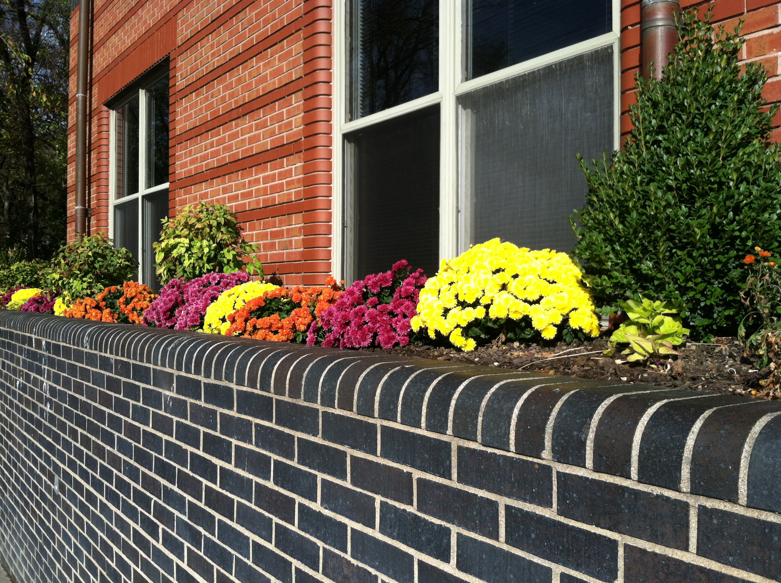 Summers Compton Wells LLC, St Louis, MO