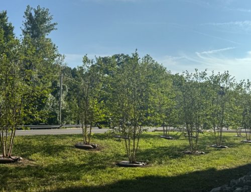 Clayton and Warson Roads-Northeast Corner 2026